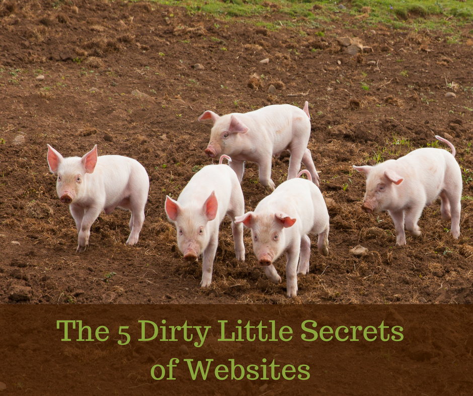 The 5 Dirty Little Secrets of Websites