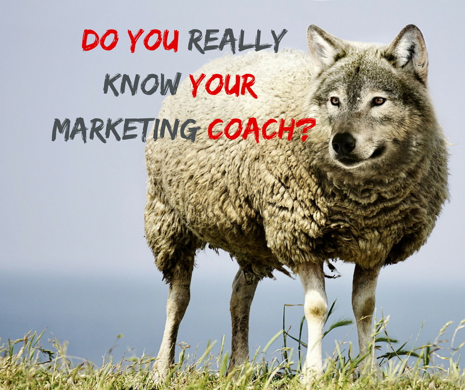 marketing coach