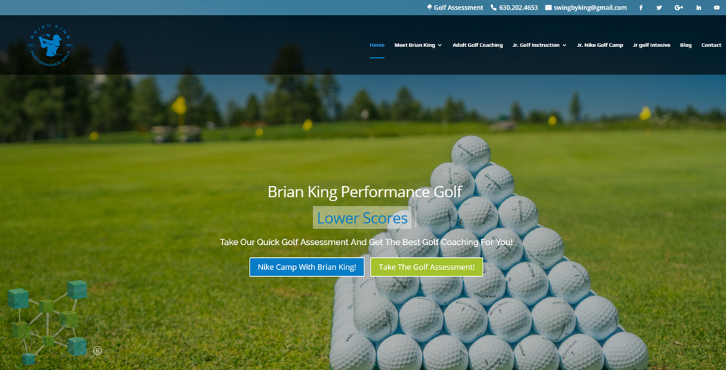 Brian King website Example