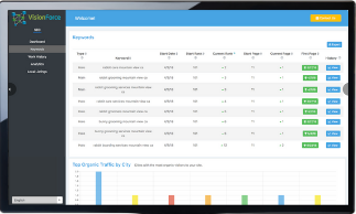 Vision Force SEO Dashboard