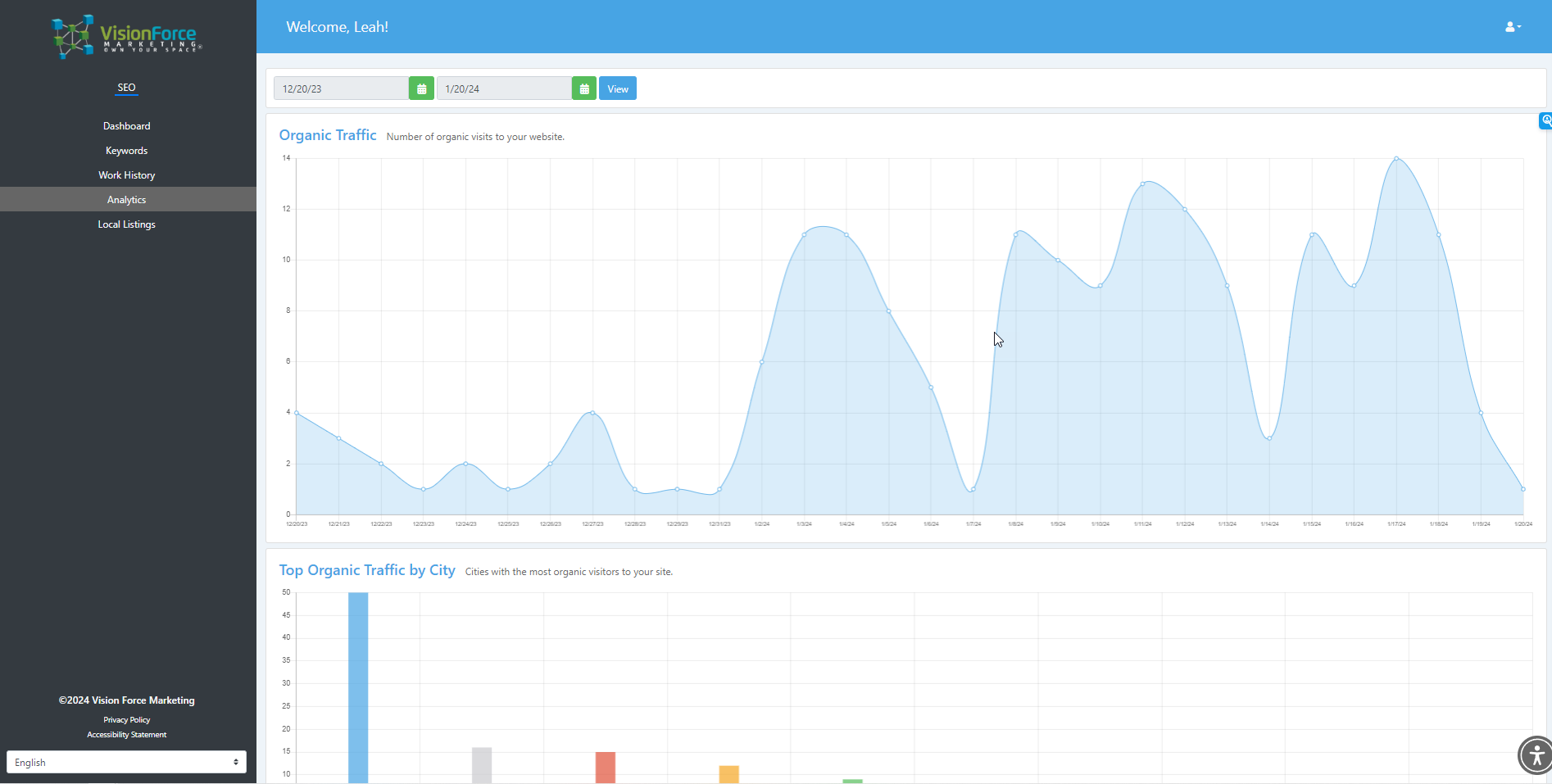 Image of VFM SEO Dashboard With Google Analytics Pulled in