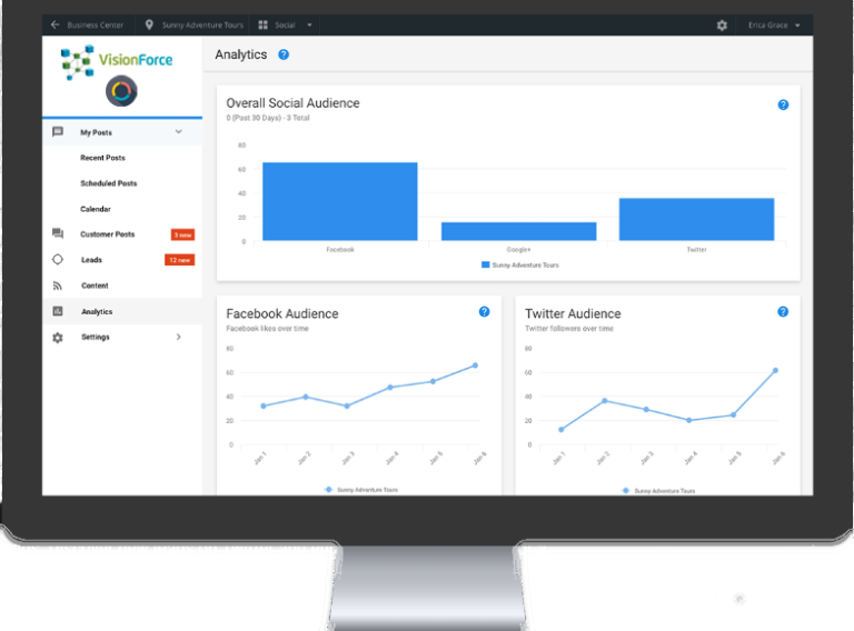 VFM Social Analytics With VFM Logo and SMM Icon VFM Social Analytics With VFM Logo and SMM Icon